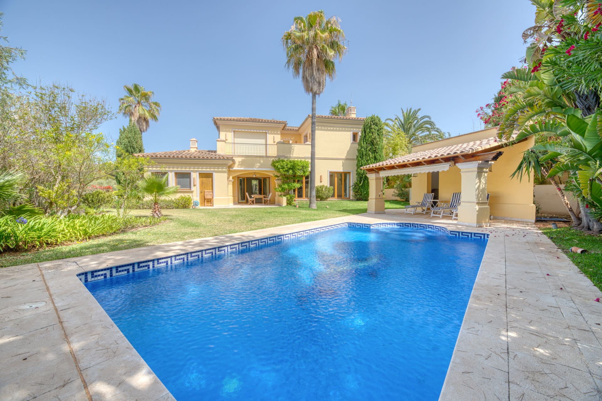 1750159713-761d3ea8-3f54-4d51-aba7-f69afbb99ce4