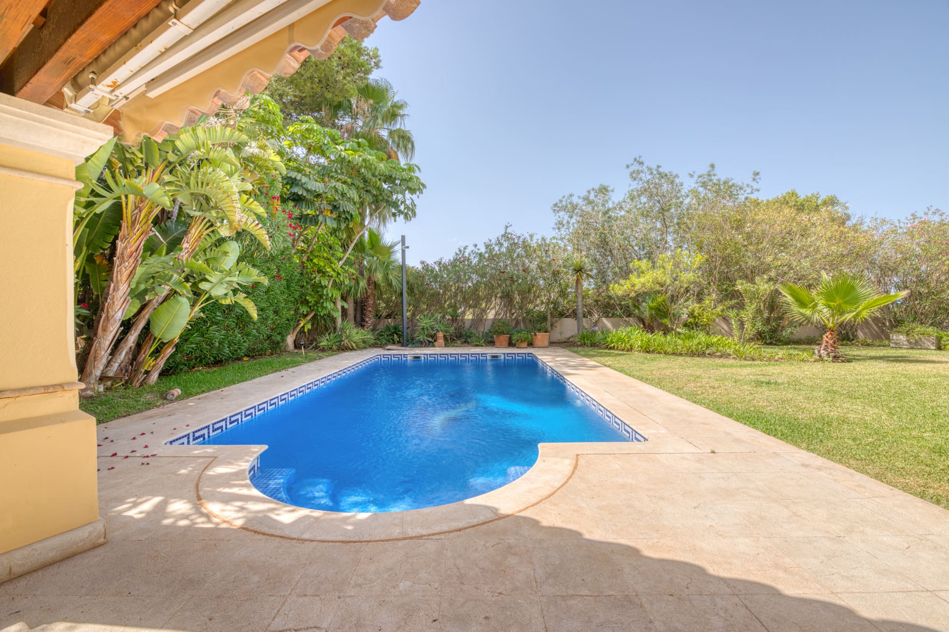 1750159784-e13a12bc-f5a1-4957-b9fc-6a7e496457a8