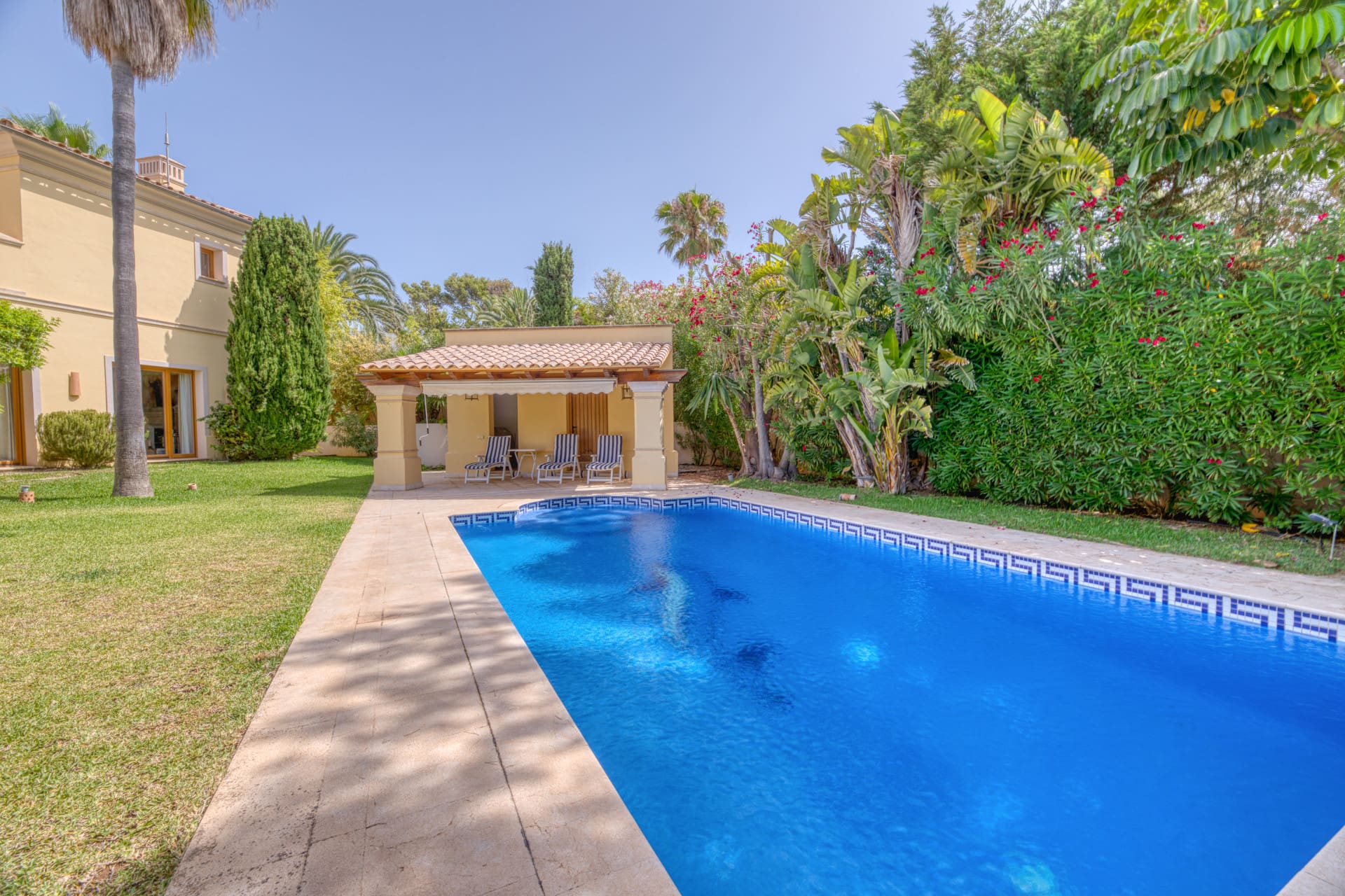 1750159788-f6ccb9ec-6442-4337-a3b4-b0ecc7ec6be7