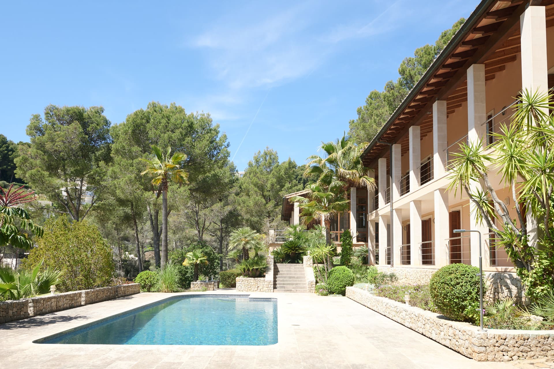 1750159867-e25a8413-934e-409b-9f43-4e5e664241ad