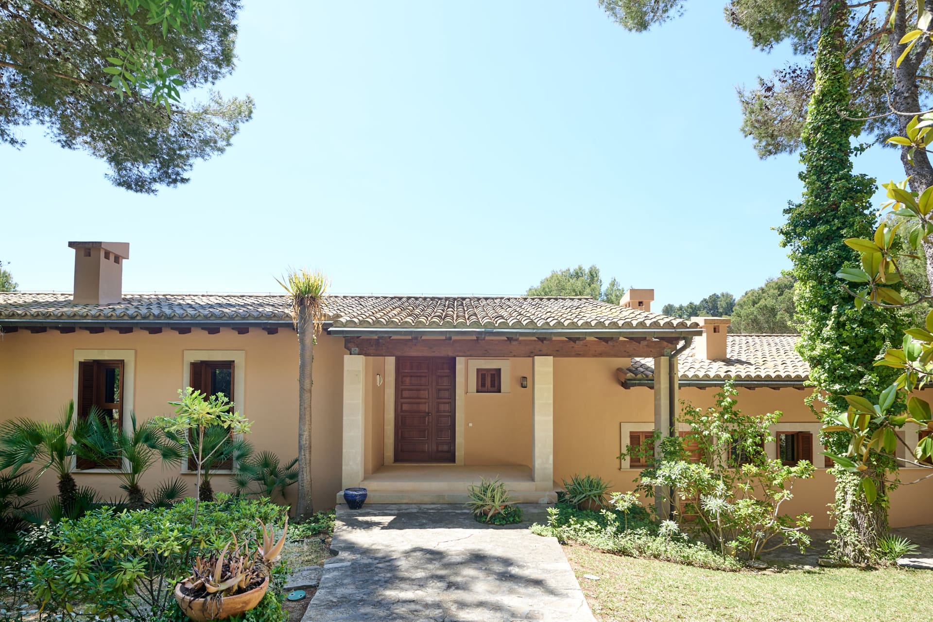 1750159877-0d56d20c-7ece-46a9-997a-79cff1b476c2