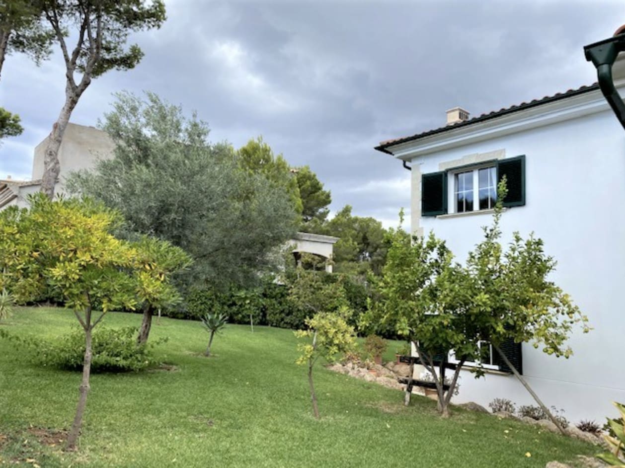 1750159938-8a3b5fa1-91b8-4b6c-a24b-aa2e2a0b9d42