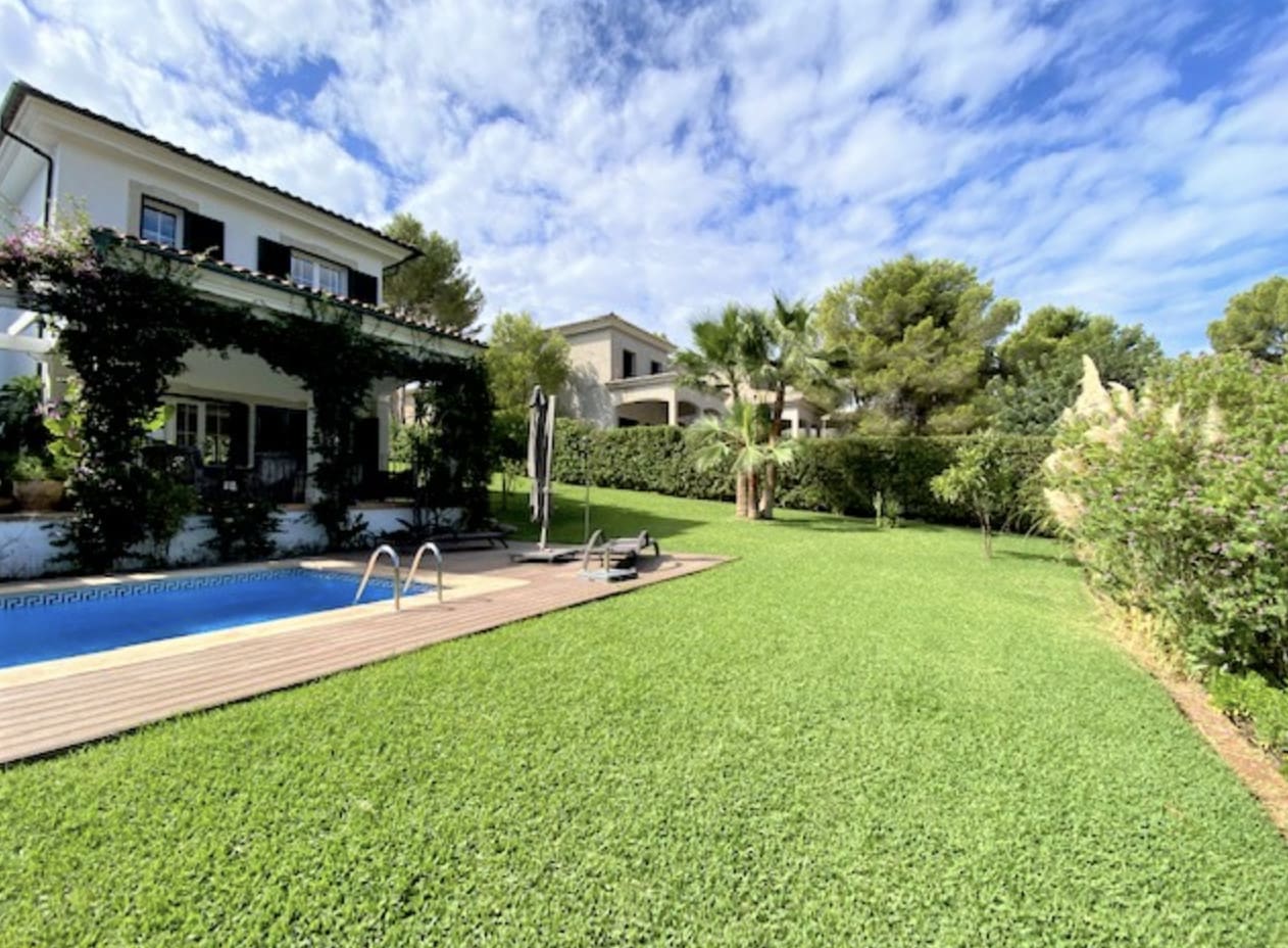 1750159944-9286d323-ba2e-4e2e-90dc-2446585d1cd2