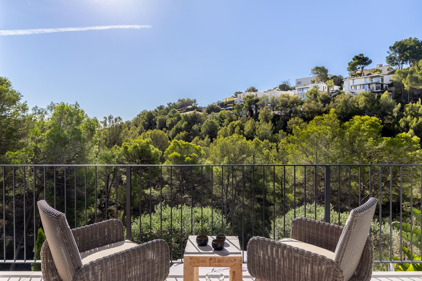 1750160149-a44835c8-3ab1-4caa-8013-5bd3688792a2