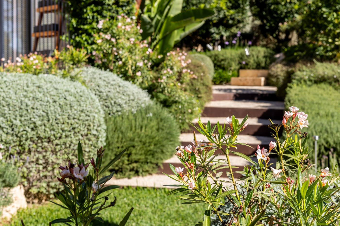 1750160175-3172464b-de28-409b-8bdd-f78128f0a242