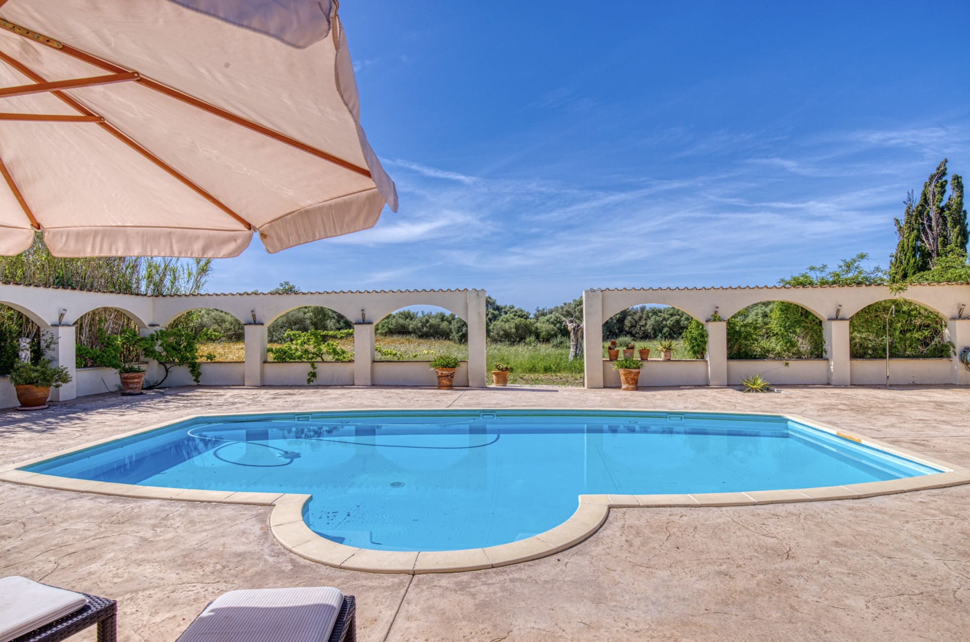 1750352811-f629e8ad-1ff0-4ef9-a0ab-bf5555711cea