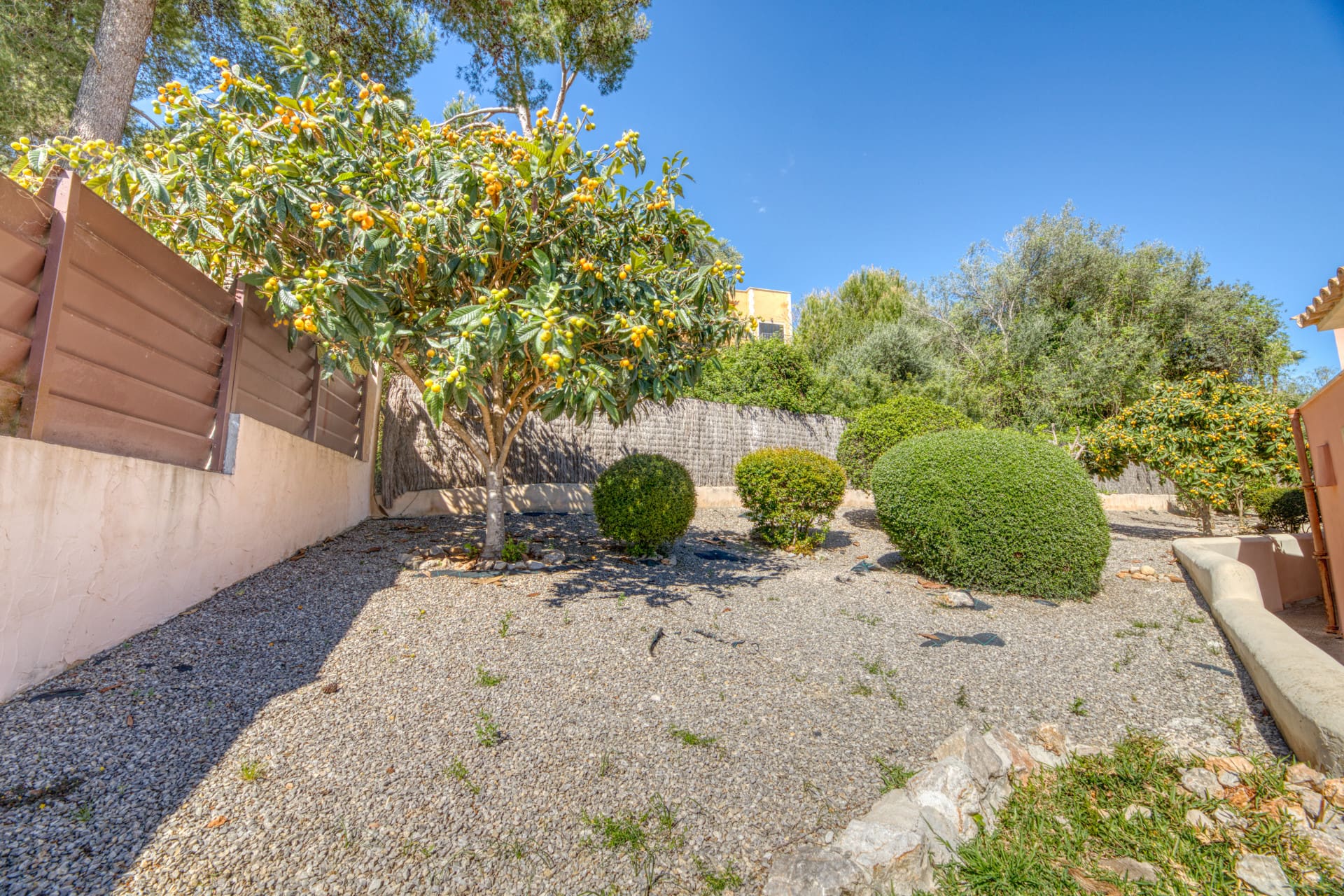 1750353022-ee6e815c-bd74-4a17-9e59-f5c7d60d9501