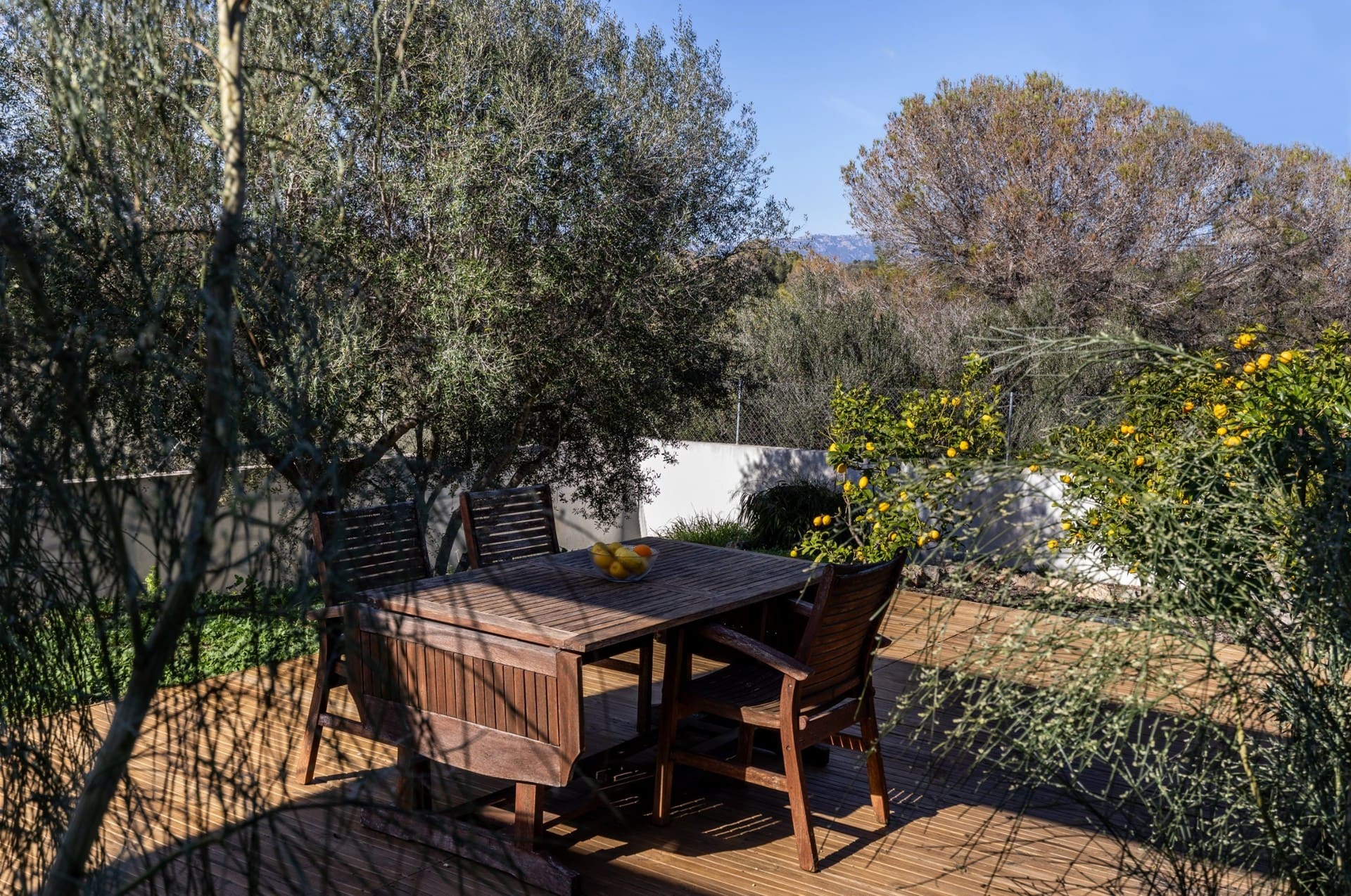 1750353098-244fa2f2-a05a-4109-ac9a-47dd8b12e602