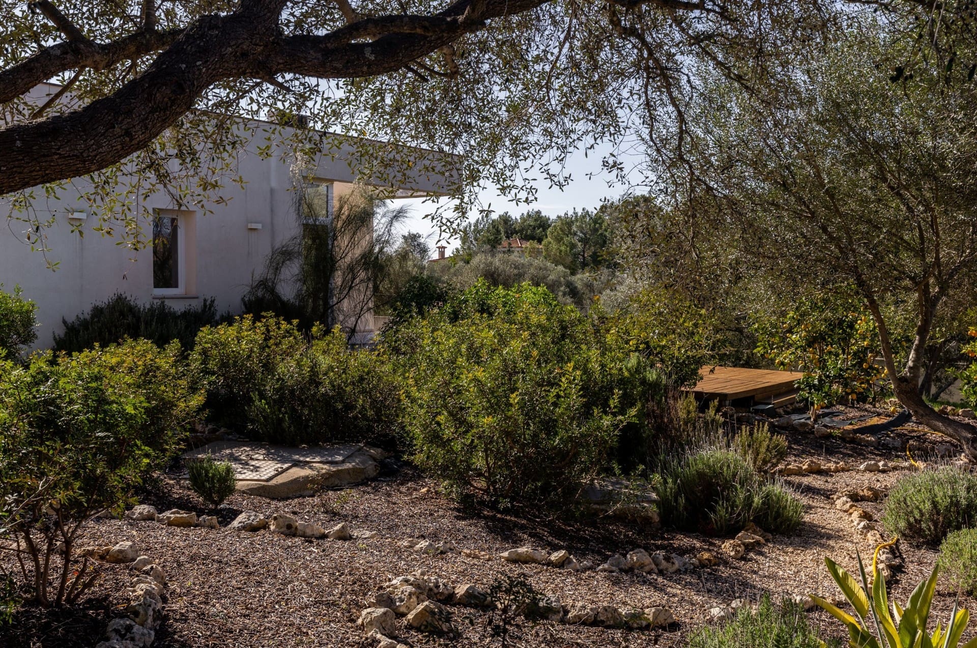 1750353109-cbb1fcb5-554d-4712-8815-7fb72b610bac