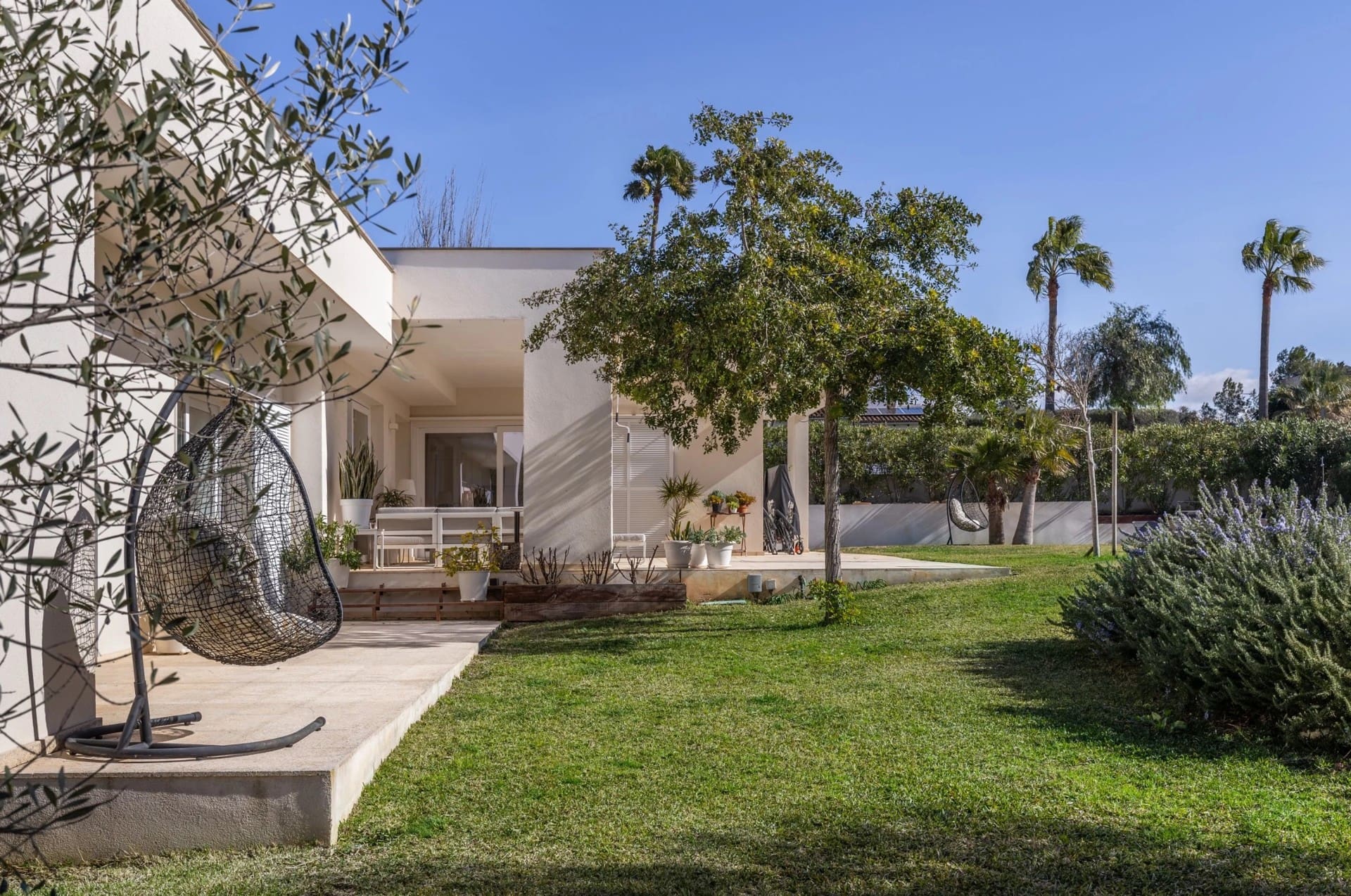 1750353111-e8e4c37a-5916-4625-84ad-244e5398dea3