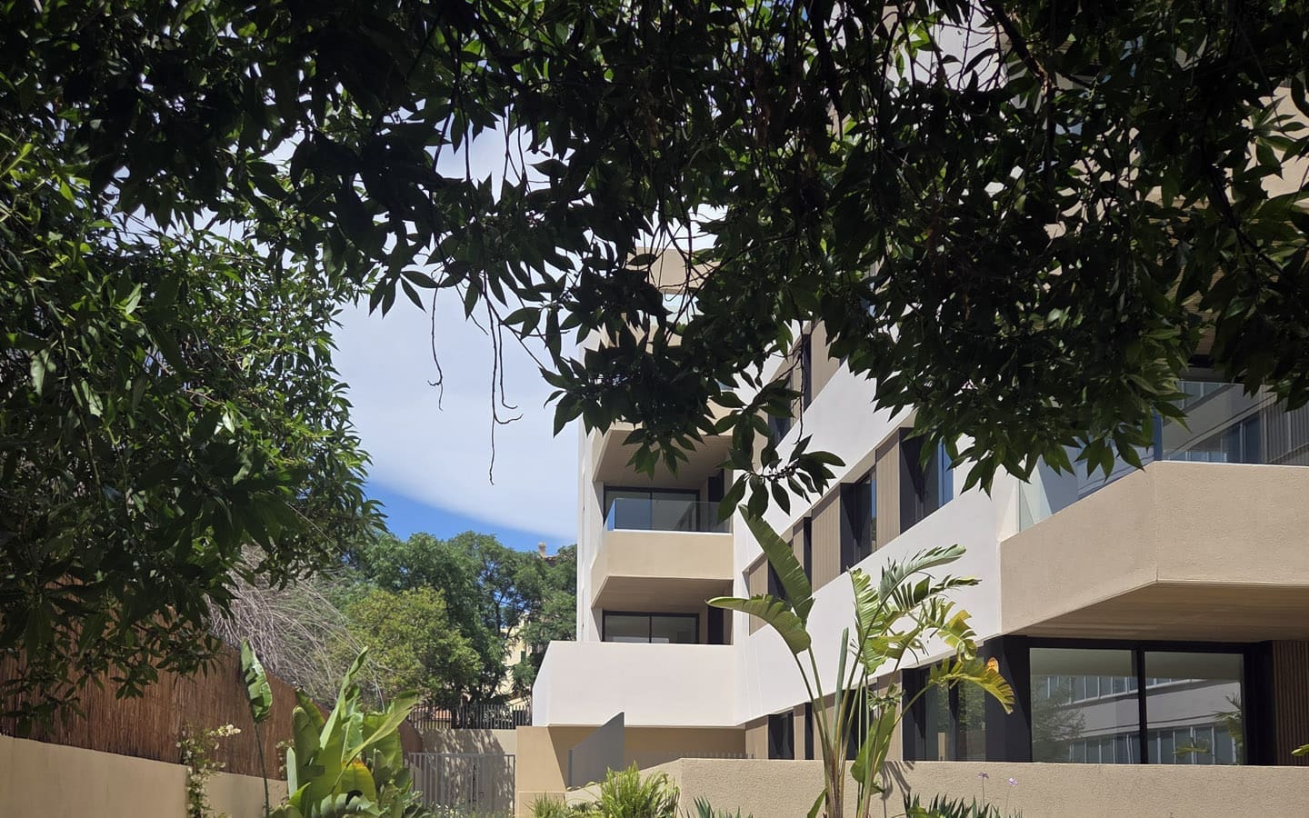 Luxury Apartments in Palma with Bellver Oaks 7 and Palmallorca Luxury Apartments in Palma with Palmallorca