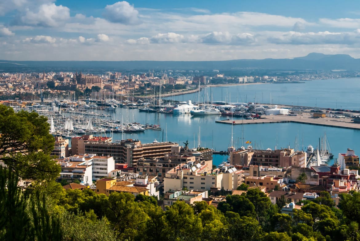 Palma Harbour and city and Luxury Apartments in Palma with Palmallorca
